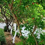 House With Garden In Of Rhodes 度假居 *