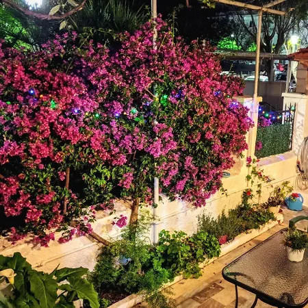 House With Garden In Of Rhodes