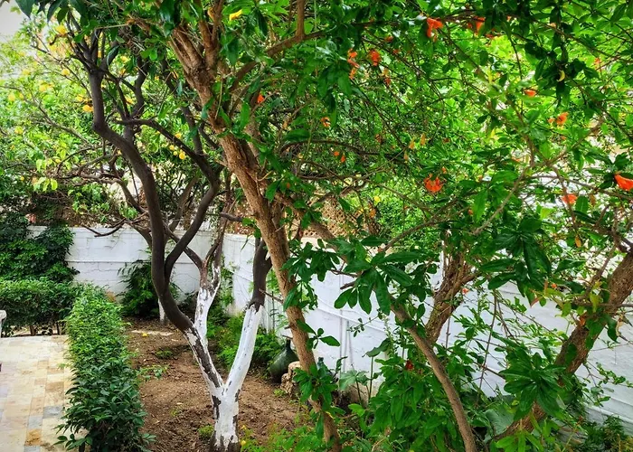 House With Garden In Of Rhodes 別荘 *